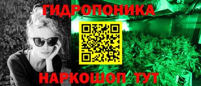гидра Шелехов