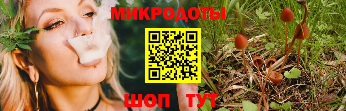 Псилоцибиновые грибы GOLDEN TEACHER  Вход с VPN  Губкинский  Галлюциногенные грибы мухоморы 