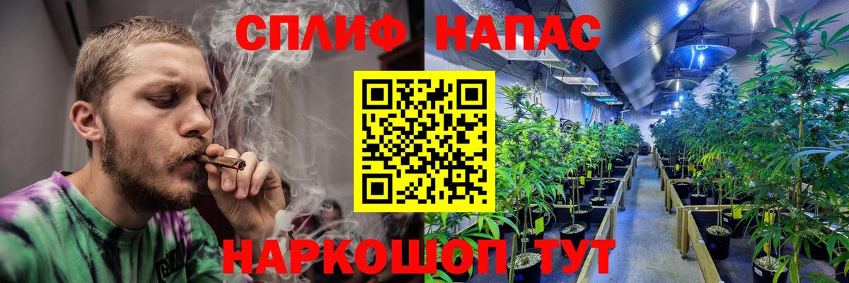 Бошки марихуана THC 21%  Каннабис сатива  Канабис сатива  Губкинский  Вход с VPN  Шишки марихуана VHQ 